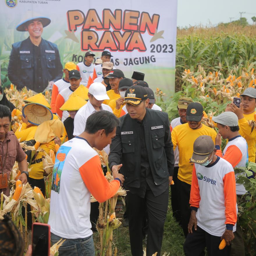 Panen Raya Jagung Kabupaten Tuban 2023